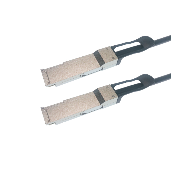 QSFP56 200Gbps DAC Cable 1